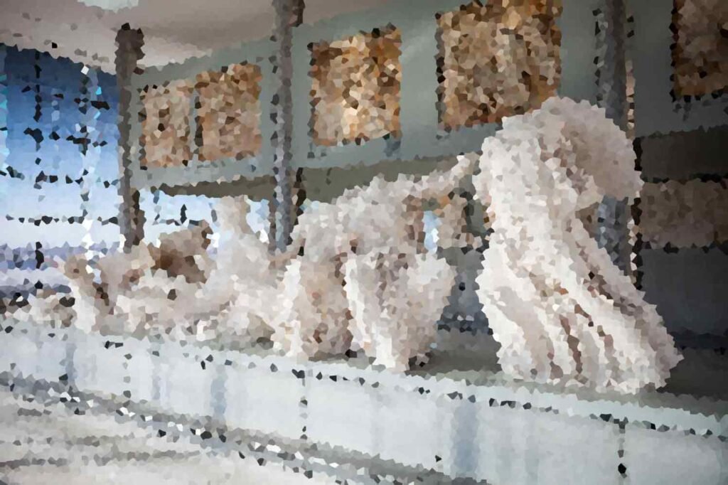 A Rare Collection of Byzantine Icons Surfaces in Unexpected Location