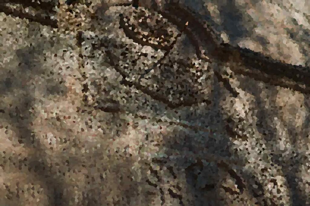 Ancient Stone Circles That Defy Modern Understanding